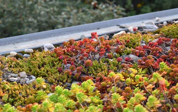 the cost of Timble green roof installation