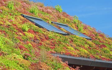 Timble living roof systems