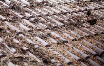 Timble roof cleaning companies