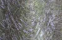 Timble fibreglass roof work